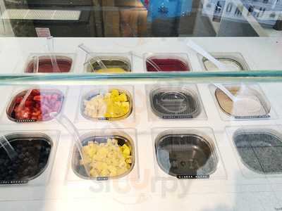 Foxberry Frozen Yogurt