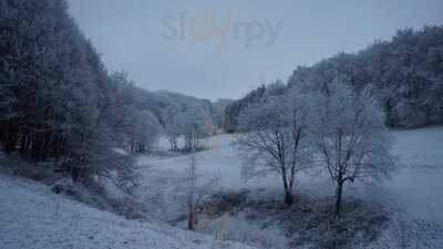 Waldgaststatte Alt-lechtern