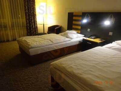 Alegria Im Lindner Congress Hotel