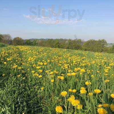 Gaststätte Kallithea