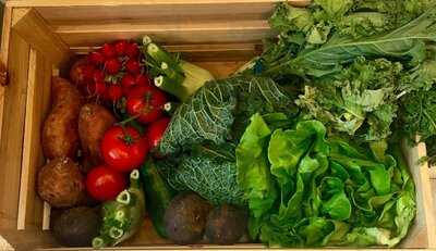 Family Juice Superfoods & Organic Liquids