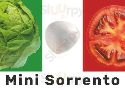 Mini Sorrento