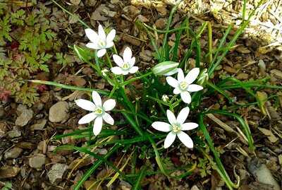 Gaststatte Anglerheim