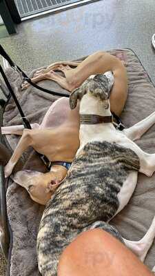 Villa Vinum Weinhandel Weinbar