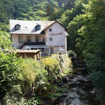 Hotel-restaurant-cafe Elfenmühle