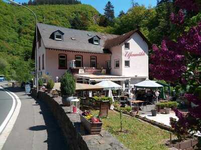 Hotel-restaurant-cafe Elfenmühle