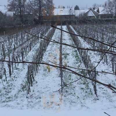 Restaurant Schloss Edesheim