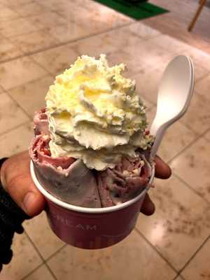 Tasty Cream - Ice Cream Rolls