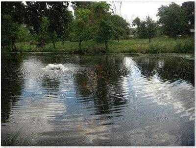 Fischereihof Detlefsen