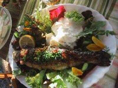 Fischereihof Detlefsen