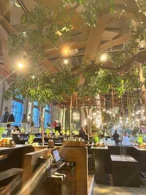 Peter Pane - Hamburg Turnhalle