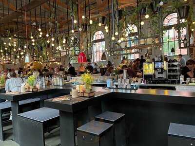 Peter Pane - Hamburg Turnhalle