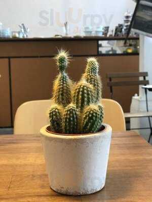 Hermetic Coffee Roasters