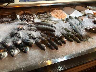 Delphin Fisch & Steak