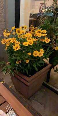 Saigon Food Restaurant