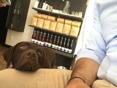 Milch Halle Berlin Coffee