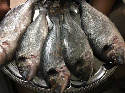 Grossmutters Lächeln