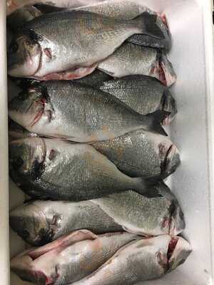 Grossmutters Lächeln