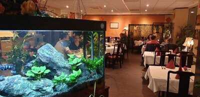 China Restaurant Han Yang