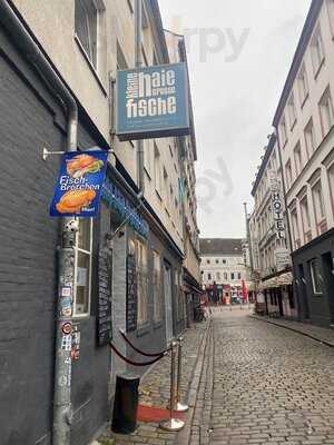 Kleine Haie Grosse Fische