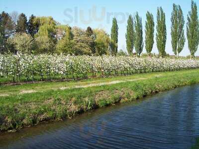 Bundt`s Gartenrestaurant & Hotel