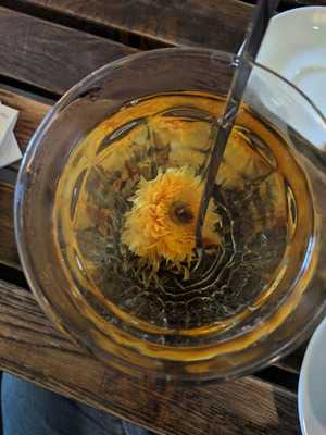 Krögers Kleine Schwester