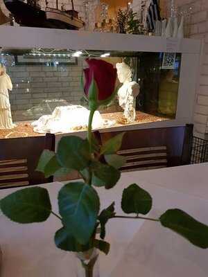 Restaurant Taverna Paros