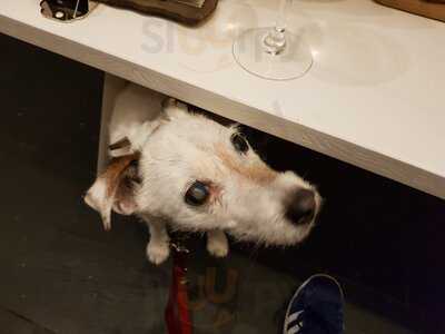 Vinoteca Berlin Weinbar - Ex-alto Adige