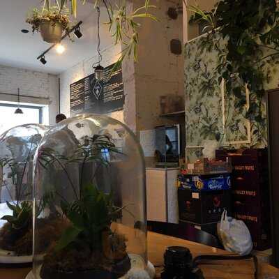 Funk You - Natural Food