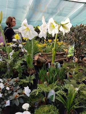 Das Cafe In Der Gartenakademie