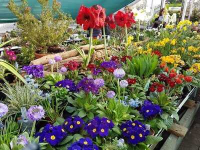 Das Cafe In Der Gartenakademie