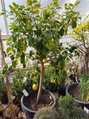 Das Cafe In Der Gartenakademie