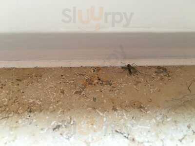 Kleinhuis Hotel Mellingburger Schleuse