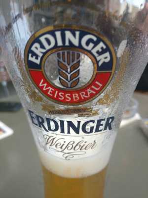 Möve Im Felsenkeller