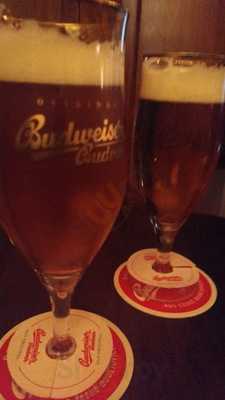 Möve Im Felsenkeller