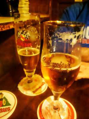 Möve Im Felsenkeller