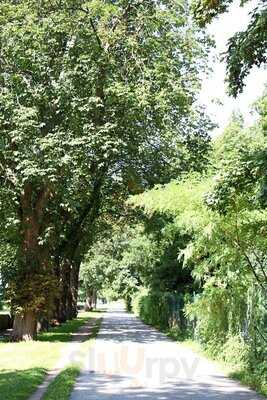 Elv Das Elb Restaurant