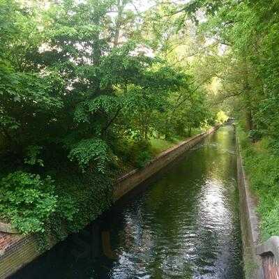 Bok Und Cocos Gesundbrunnen