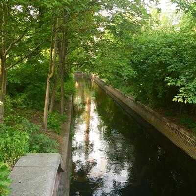 Bok Und Cocos Gesundbrunnen