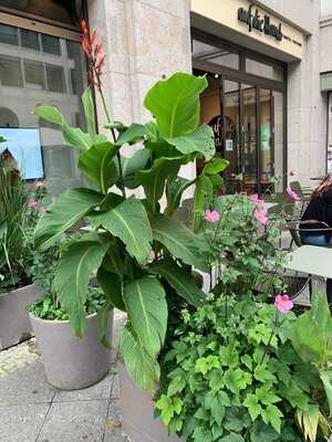 Auf Die Hand - Friedrichstrasse