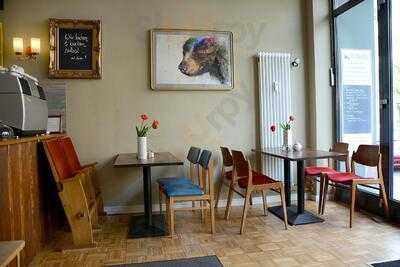 Wo Der Bär Den Honig Holt