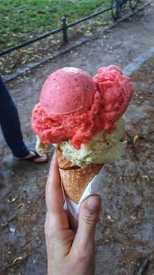 Gelateria Mos Eisley