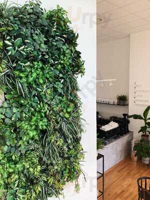 Elemenza Coffee Roasters