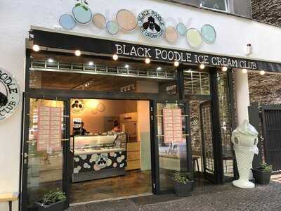 Black Poodle Ice Cream Club