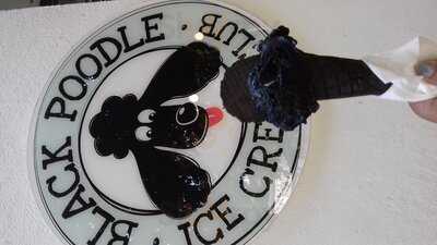 Black Poodle Ice Cream Club