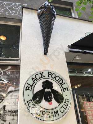 Black Poodle Ice Cream Club
