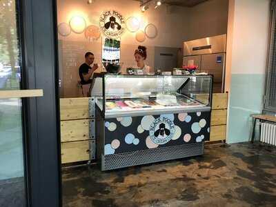 Black Poodle Ice Cream Club