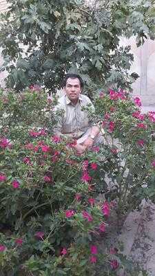 City House بيت المدينه