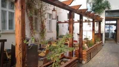 Vielfalter - Yoga & Lifestyle