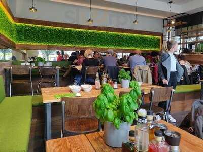 Little Green Rabbit Schultheiss Quartier